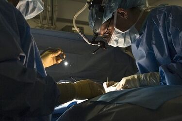Ogólnopolski Dzień Transplantacji. Ile narządów pobrano w 2021 r. w Podlaskiem?
