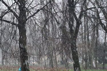 Końcówka stycznia zapowiada się na mroźną