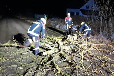 Tysiące domów bez prądu. Masowe awarie w Podlaskiem