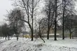 Półmetek tygodnia. Będzie zimno i mokro