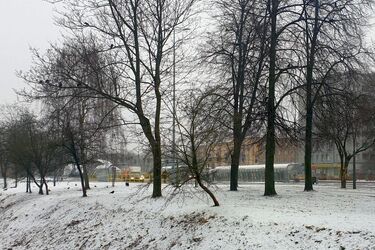 Półmetek tygodnia. Będzie zimno i mokro