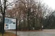 Wietrzny początek tygodnia. Ile będzie stopni?