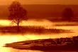 Piękno podlaskiego regionu na fotografiach 