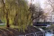 Pogoda w piątek zapowiada się na pełną wahań