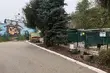 Lubisz psy? Schronisko zaprasza na 