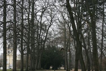 Będzie wiało! IMGW wydało ostrzeżenie 1. stopnia