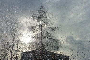 Pochmurny początek tygodnia. Możliwe opady