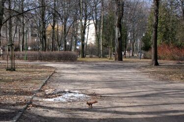 Szaro i ponuro. Zapowiada się deszczowa środa
