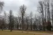 Przed nami pochmurny czwartek - ile będzie stopni?