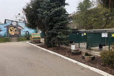 Białostockie schronisko szuka wolontariuszy. Miłośnicy zwierząt mogą się zgłaszać