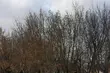 Zimno, mokro i ponuro. Piątek z lekkim śniegiem