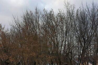 Zimno, mokro i ponuro. Piątek z lekkim śniegiem