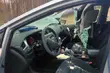 Łoś wbiegł prosto w radiowóz