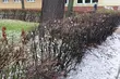 Do Białegostoku nadchodzi ochłodzenie