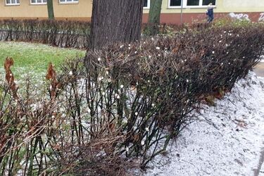 Do Białegostoku nadchodzi ochłodzenie