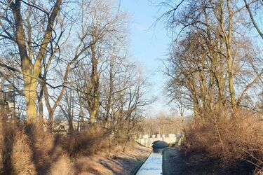 Kolejny dzień pełen słońca, a nocą duży mróz