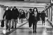 Dobowy raport zakażeń koronawirusem. W Podlaskiem 240 przypadków