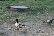 Z każdym dniem robi się coraz cieplej
