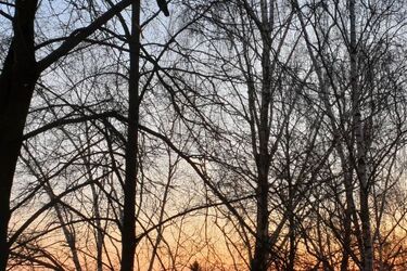 Półmetek tygodnia. W Białymstoku pogoda dopisze