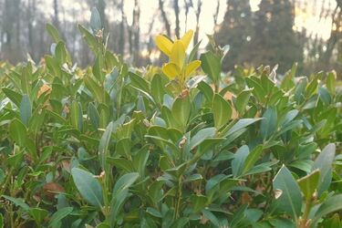 Czwartek będzie nadal słoneczny, ale nieco chłodniejszy