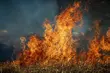 Ogromny pożar nad zalewem Siemianówka