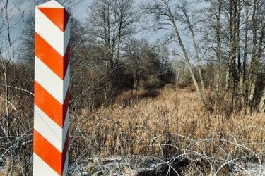 W masywie leśnym znaleziono zwłoki człowieka