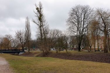 Pogoda zmienia się jak w kalejdoskopie. Wtorek będzie deszczowy