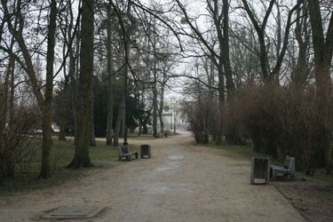 Zimno, mokro i ponuro - pogoda w środę nie dopisze