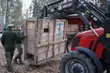 Białowieskie żubry pojechały do Serbii