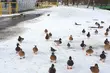Mamy piękną zimę tej wiosny! Ale nie na długo...