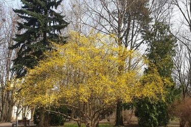 Do Białegostoku nadchodzi ocieplenie