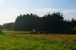 Działki, mieszkania, domy - skarbówka wystawia nieruchomości w atrakcyjnych cenach