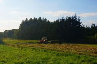 Działki, mieszkania, domy - skarbówka wystawia nieruchomości w atrakcyjnych cenach