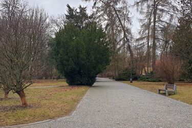 Jaka pogoda czeka nas w piątek?