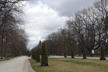 Początek tygodnia zapowiada się na mokry i pochmurny