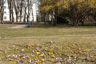 Półmetek tygodnia będzie ciepły i pełen słońca