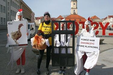 Nie kupuj jajek "trójek" na Wielkanoc! Happening w centrum miasta