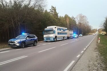 Przekroczył dopuszczalną prędkość. Teraz grozi mu grzywna do 30 tys. zł