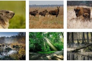 "W zakamarkach moich dróg" - wystawy fotograficzne