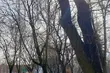 Prognoza na weekend. Jakiej pogody możemy się spodziewać?
