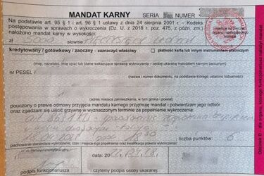 Stracił panowanie nad autem i uderzył w drzewo. Musiał zapłcić 5 tys. zł mandatu