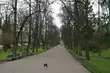 Ostatni piątek kwietnia. Ile będzie stopni?
