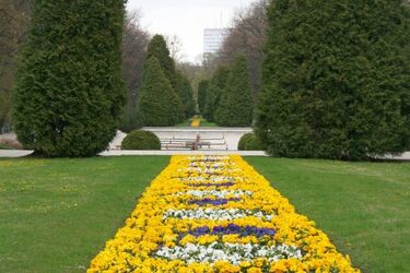 Majówka w Białymstoku - prognoza pogody na 4 dni