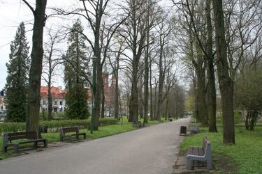 Pogoda dopisze. Czwartek zapowiada się na suchy