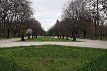 Załamanie pogody. Synoptycy prognozują burze