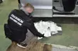 Narkotyki warte 12 mln zł ukryte były w baku paliwa [WIDEO]