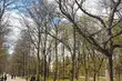 Weekend w Białymstoku. Jakiej pogody możemy się spodziewać?