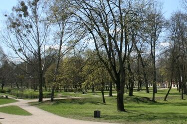 Robi się coraz cieplej. W Białymstoku będzie do nawet 17°C