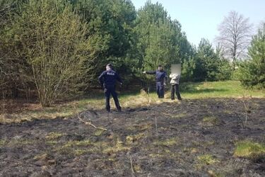 Wypalał trawy. Na widok policji schował się za drzewami