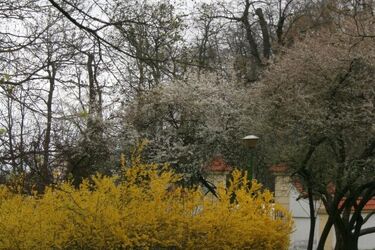 Do miasta nadchodzi deszczowy front